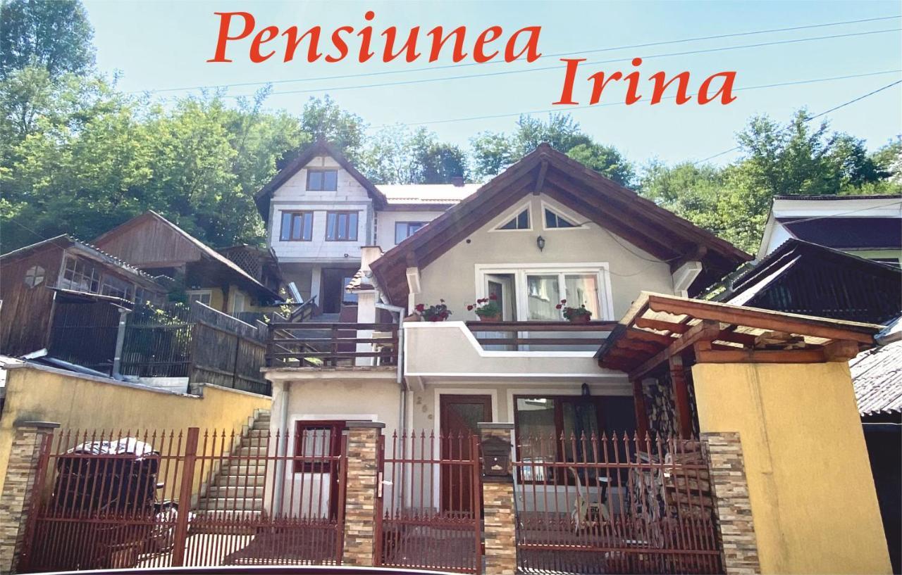 Pensiunea Irina Sangeorz-Bai Exterior foto